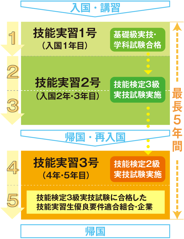 実習フローチャート